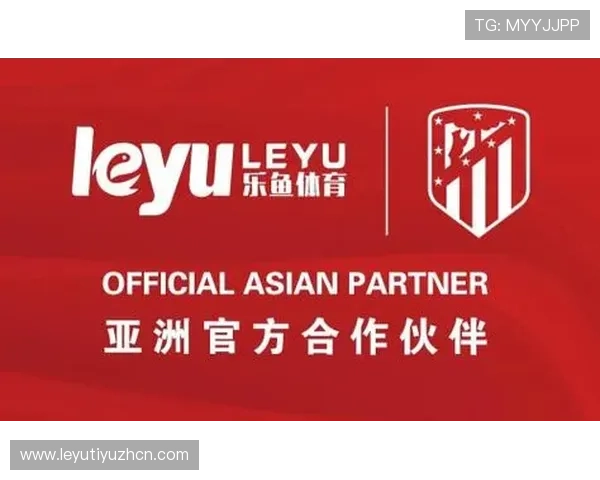 体育乐鱼官网app登录入口安全验证与推荐登录方式详解，让你畅享体育娱乐体验